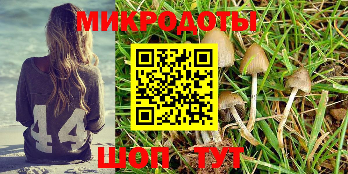 Псилоцибиновые грибы ЛСД Брянск